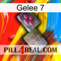 Jelly 7 38